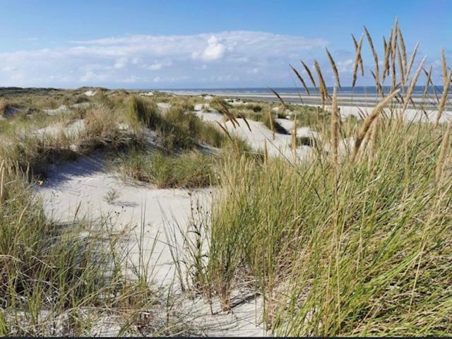 Seeblick Lachmoewe, Exklusive Lage In Strandnaehe Wangerooge Esterno foto